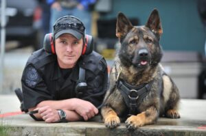 what do police dogs do off duty